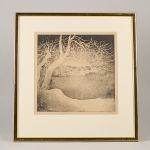 1727 7035 LITOGRAPH